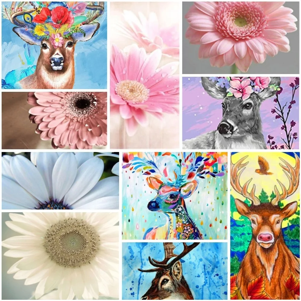 

Pink Daisy Painting By Numbers Canvas Stickers & Posters Craft Kits For Adults Wall Art Gift For Wife Free Shipping 2023 NEW