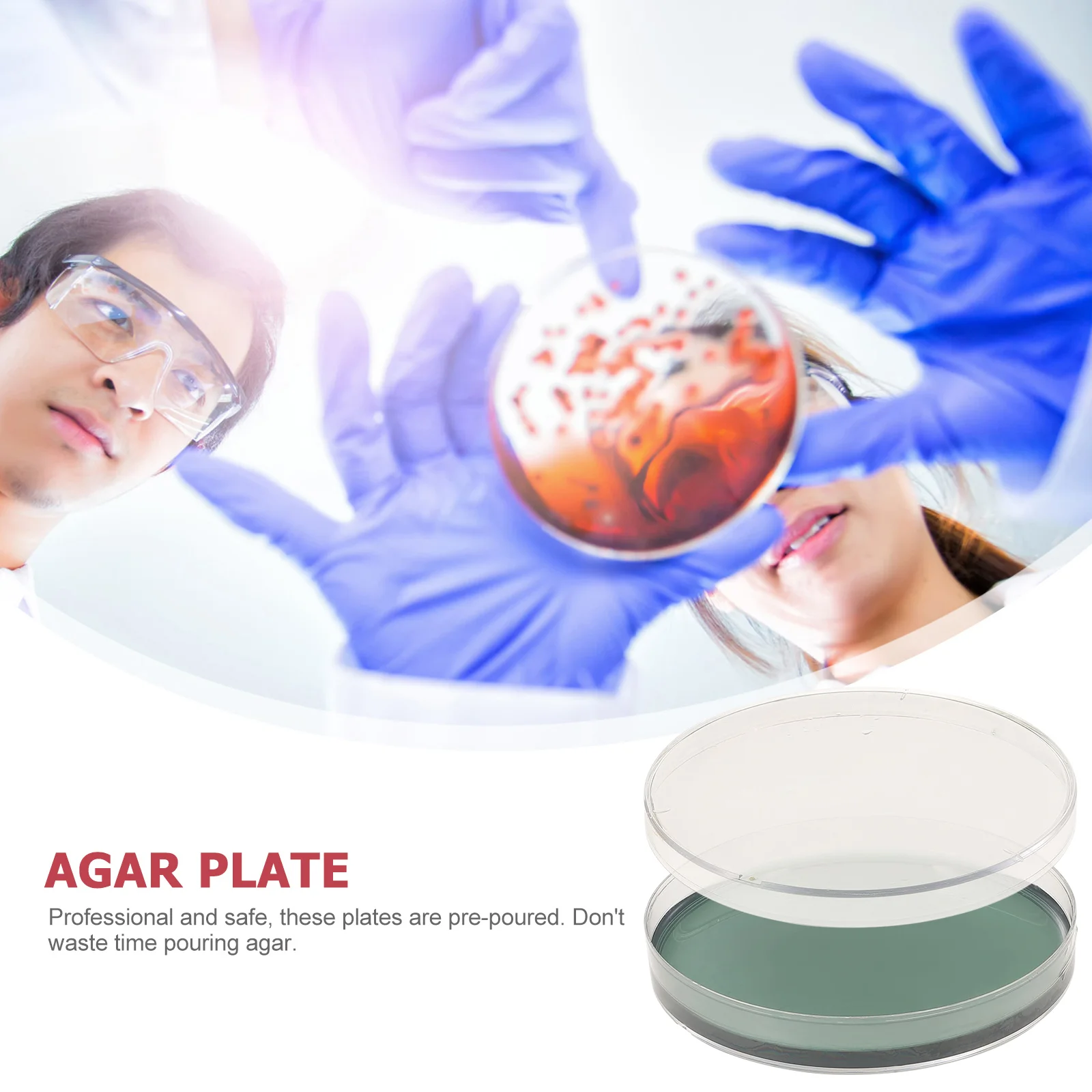 

10 Pcs Nutrient Agar Plate Prepoured Petri Dishes Portable Tool Kit Plates Experiment Kid Stuff Glass Jelly