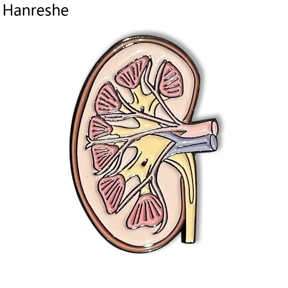 

Hanreshe Kidney Anatomy Brooch Enamel Lapel Pins Medical Jewelry Badge Biology Gift for Doctor Nurse Medical Student