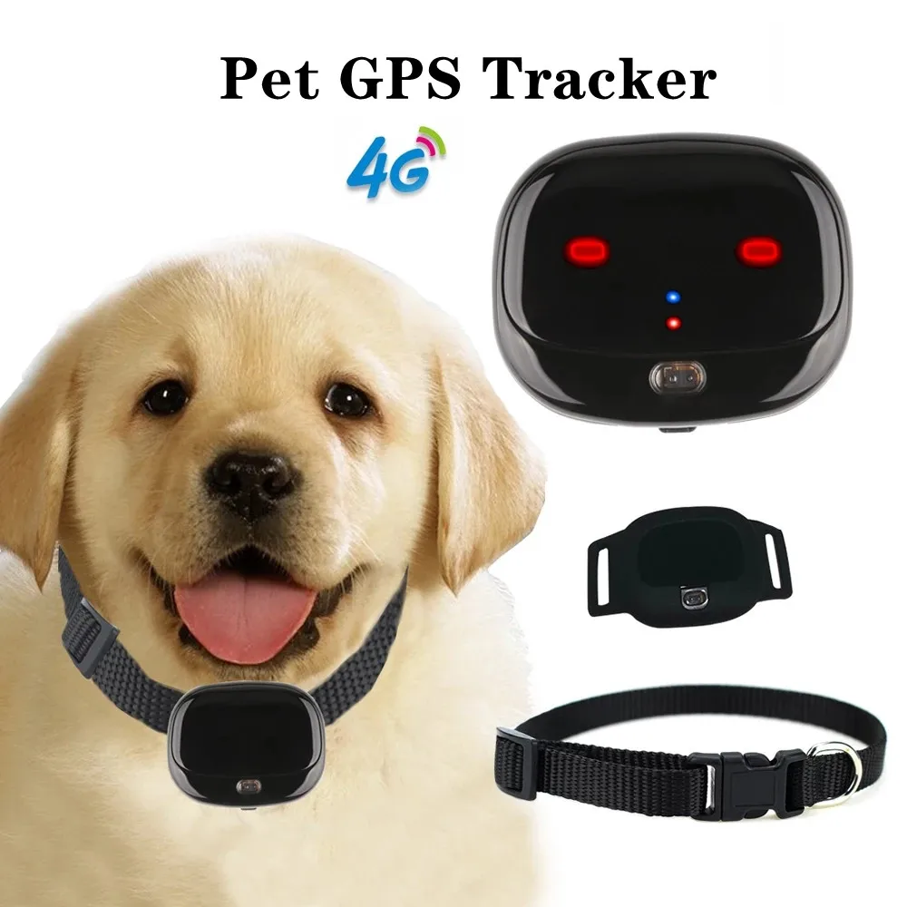 

Waterproof 4G Pet GPS Tracker Dog GPS Tracking Collar Mini Anti-Lost Alarm Cat Locator Smart Tracking Device Long Standby SOS