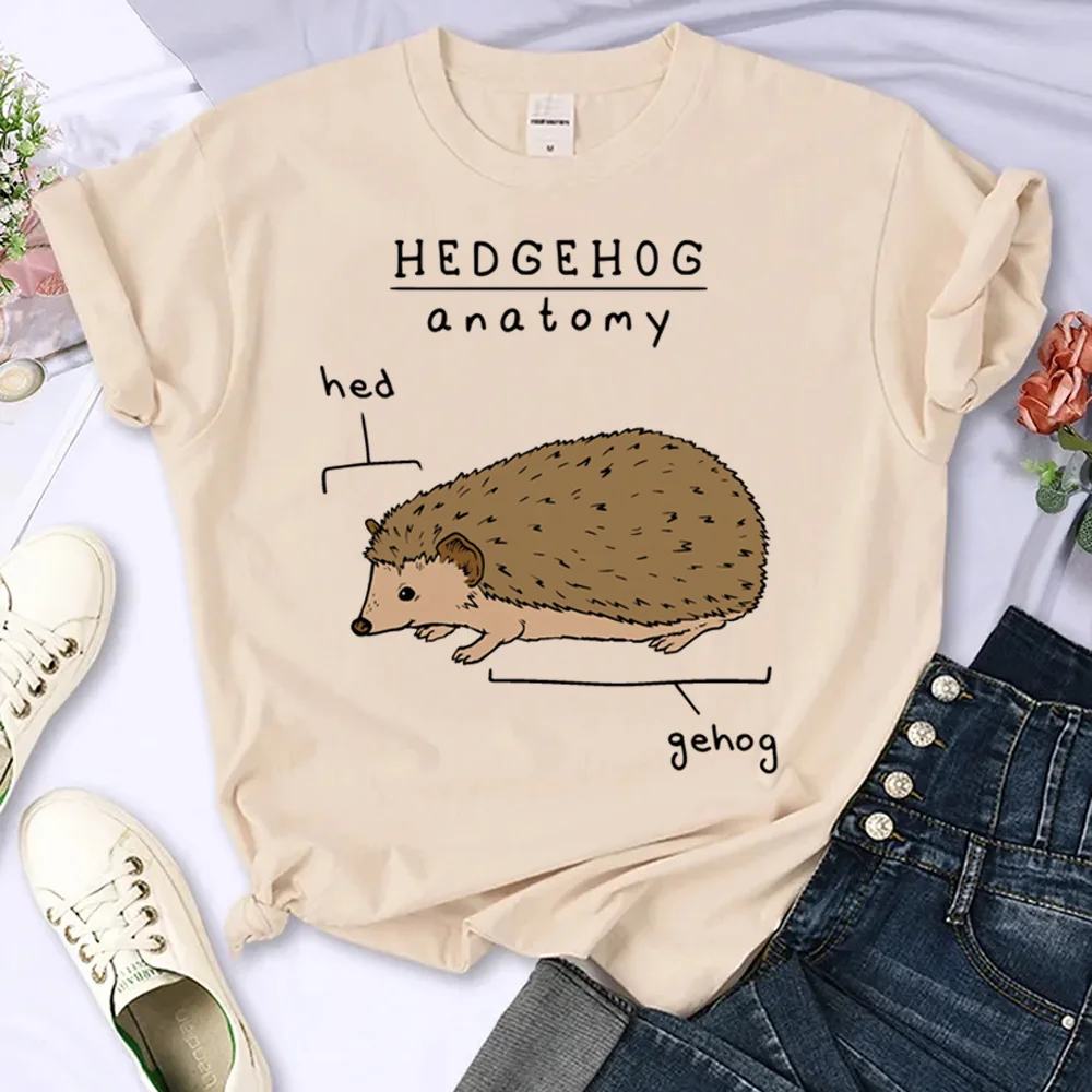 

Hedgehog top women comic Tee girl y2k streetwear clothes