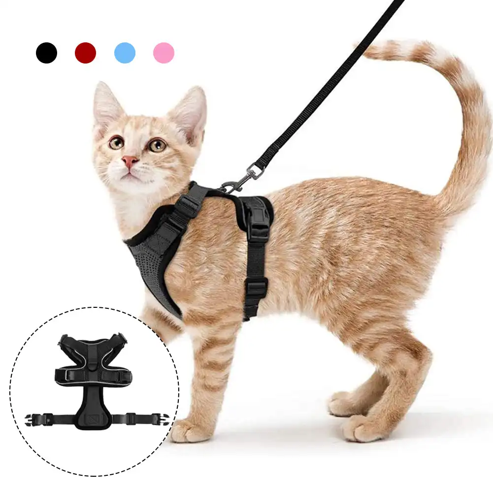 

Воздухопроницаемая шлейка и поводок для кошек, жилет, сетчатый нагрудный пояс, ошейник для кошек, собак, кроликов, мелких животных
