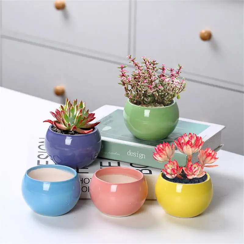 

Simple And Fresh Atmosphere With Breathable Hole Flower Pot Succulent Plant Plant Ornaments Household For Office Mini Potted