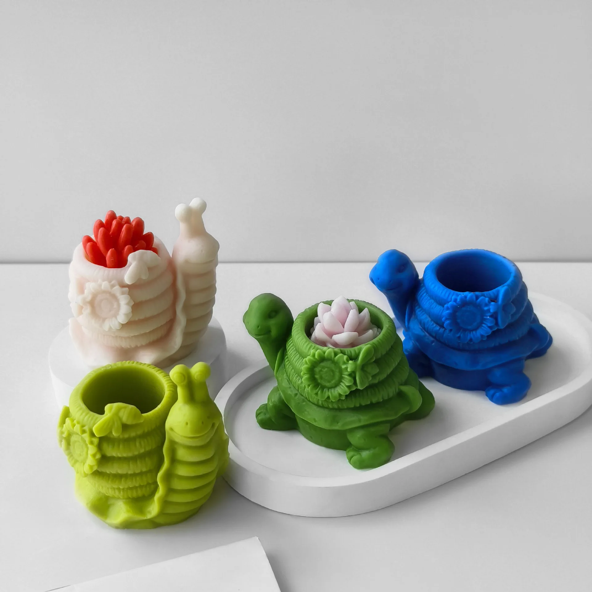 DIY улитка черепаха суккулентное растение в горшке пластырь цветочный горшок