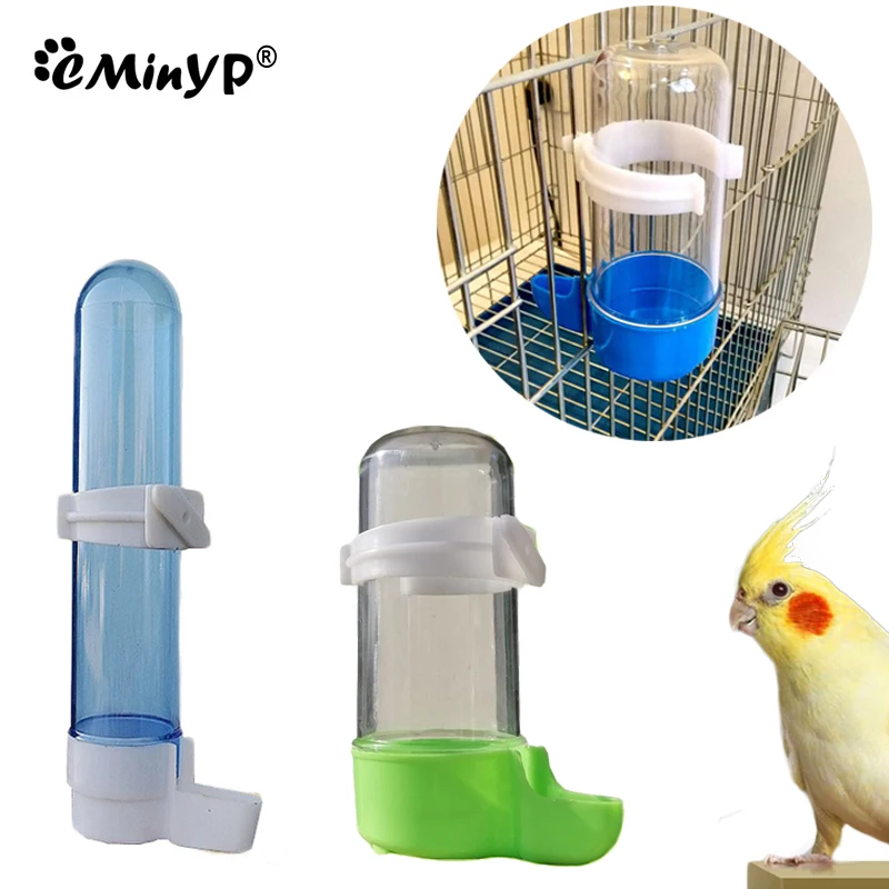 Pet Bird Supplies