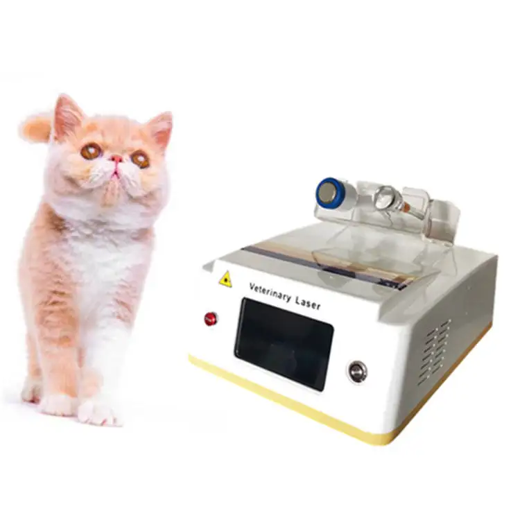 

Animals Pain Relief High Power Laser 980nm High Power Veterinary Deep Tissue Therapy