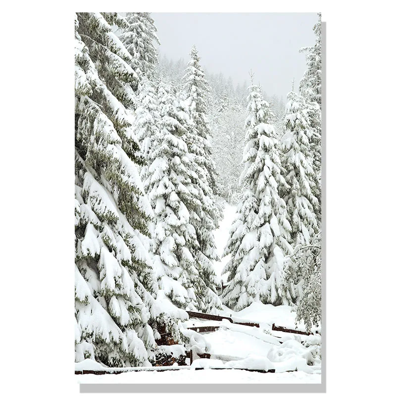 

Плакат "Зимний лес" AliPaint