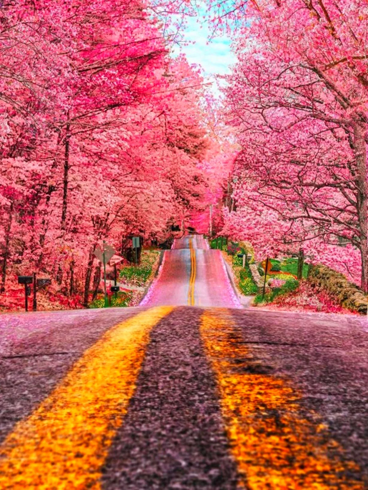 Алмазная живопись 5D сделай сам картина Стразы алмазная вышивка 3D крестиком