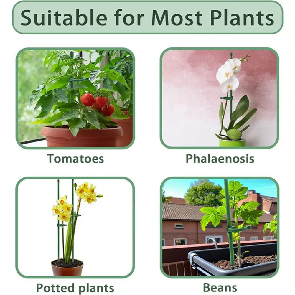 

Стойки для поддержки растений 6 шт./12 шт., прочные коррозионно-стойкие, декорирующие, подставки для растений, Садовые принадлежности с одним ...