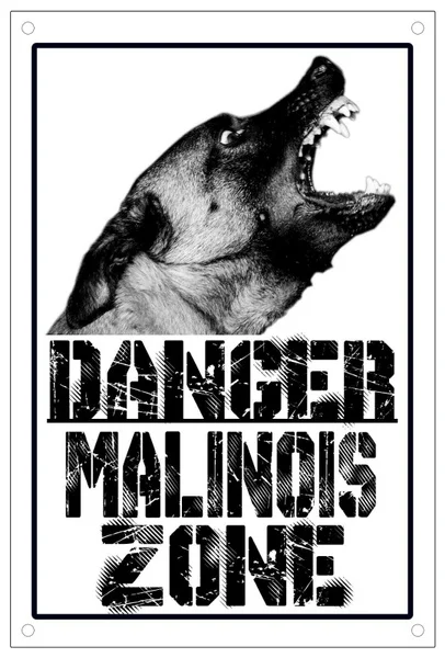 

Danger Dog Zone Plate Sign 8x12inch Metal Watch the Dog Metal Sign 8x12inch Home Kitchen Outdoor Wall Decor 1