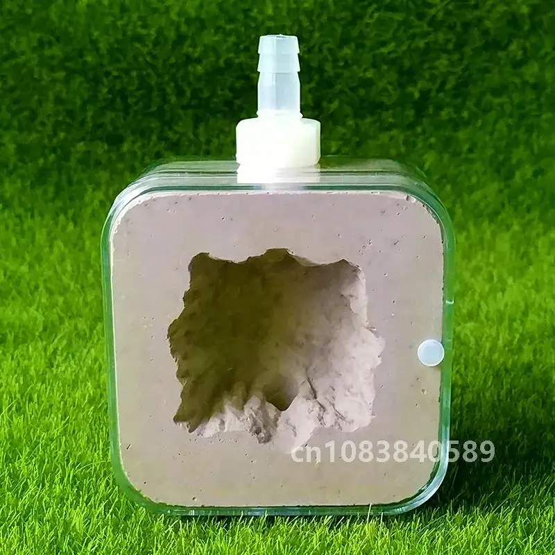 Имитация муравьев экологическое гнездо маленький самолет внешнее гипсовое