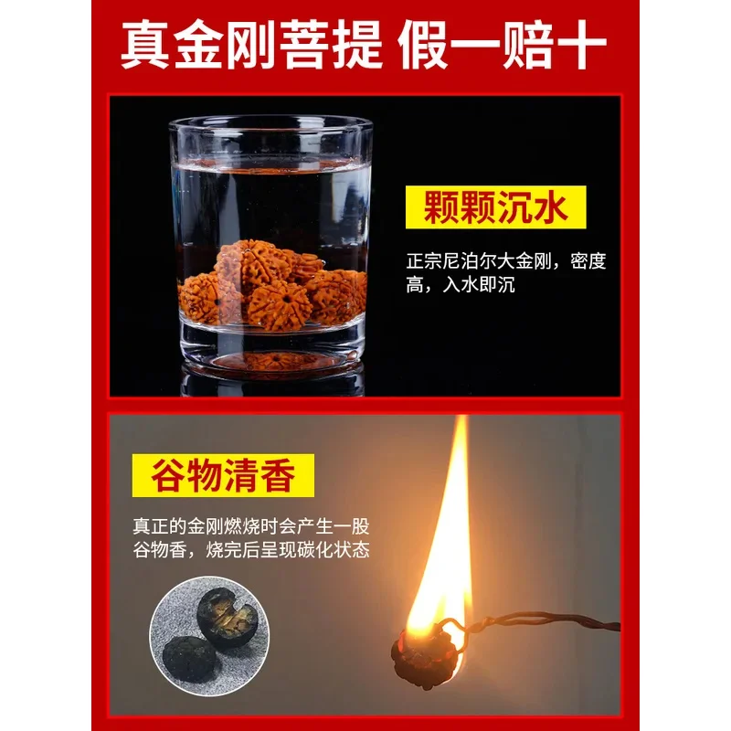 Непал Осел Бодхи Ручной шнурок Семена пяти или шести лепестков Одиночный круг