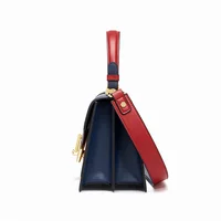 Cnoles Red Blue Shoulder Bag 1