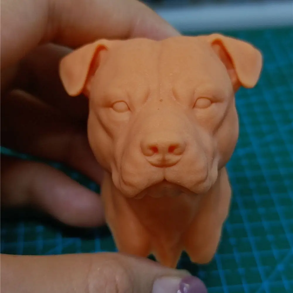 

Dolls Unpainted 1/6 Scale Rottweiler Dog Head Sculpt Model For 12 inch Action Figure Dolls Painting Exercise No.078