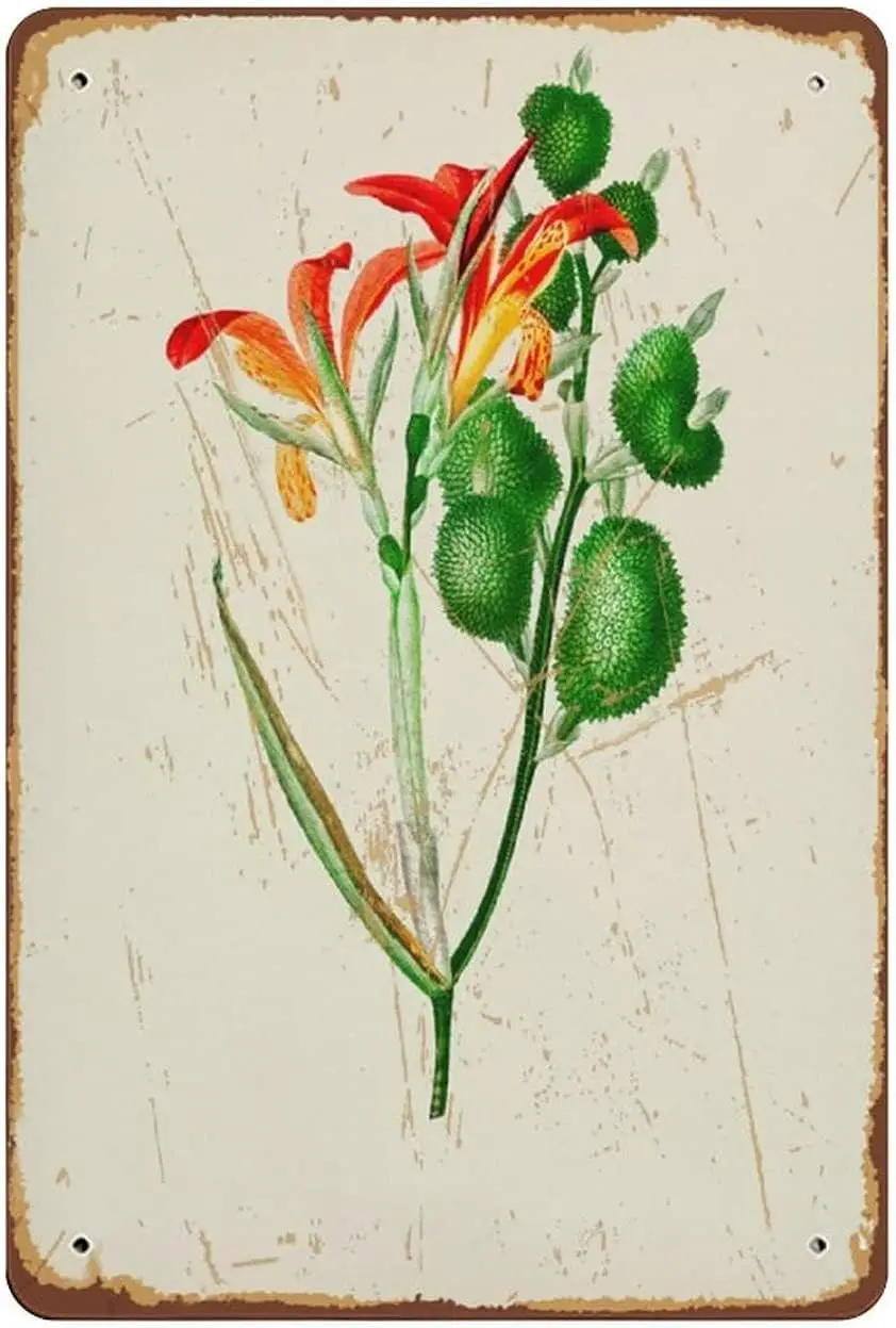 VelfDuel винтажный принт с иллюстрацией ботанический постер кухонный настенный