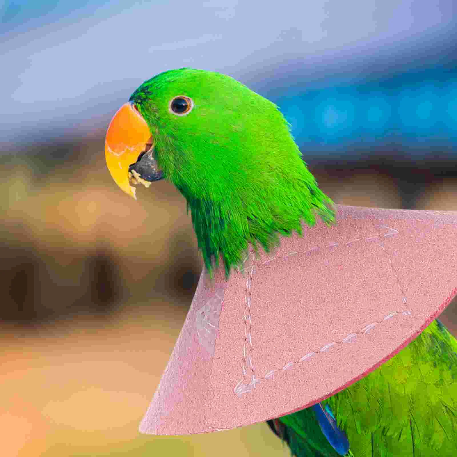 

Collar Parrot Cone Bird Elizabethan Neckanti Bite Pet Recovery Cones Dogs Collars Dog Buster Plucking