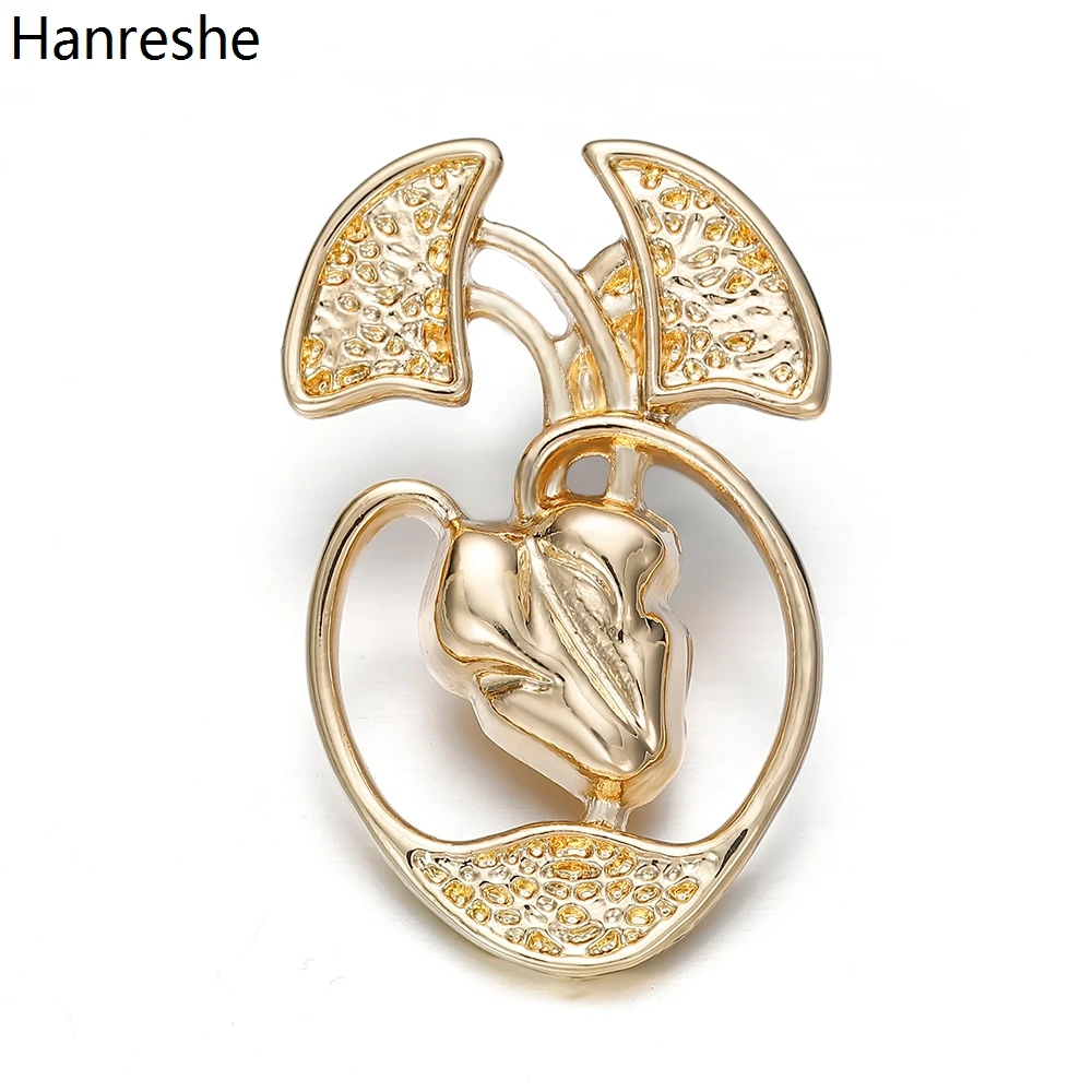 

Hanreshe Medical Gold Silver Plated Lung Heart Organ Brooch Pins Medicine Jewelry Lapel Backpack Badge Gift for Doctors Nurses