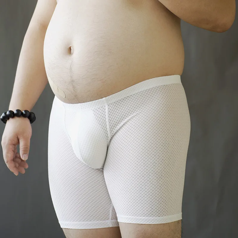 Men's breathable U-Bulge briefs sexy lingerie Chubby large sizeshorts Underwear See-through Fashion new Underpants