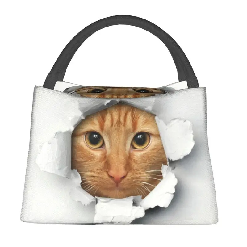 

Забавные Изолированные сумки для обеда с кошкой для женщин, кошка, многоразовый термоохладитель, коробка для еды, для кемпинга, путешествий