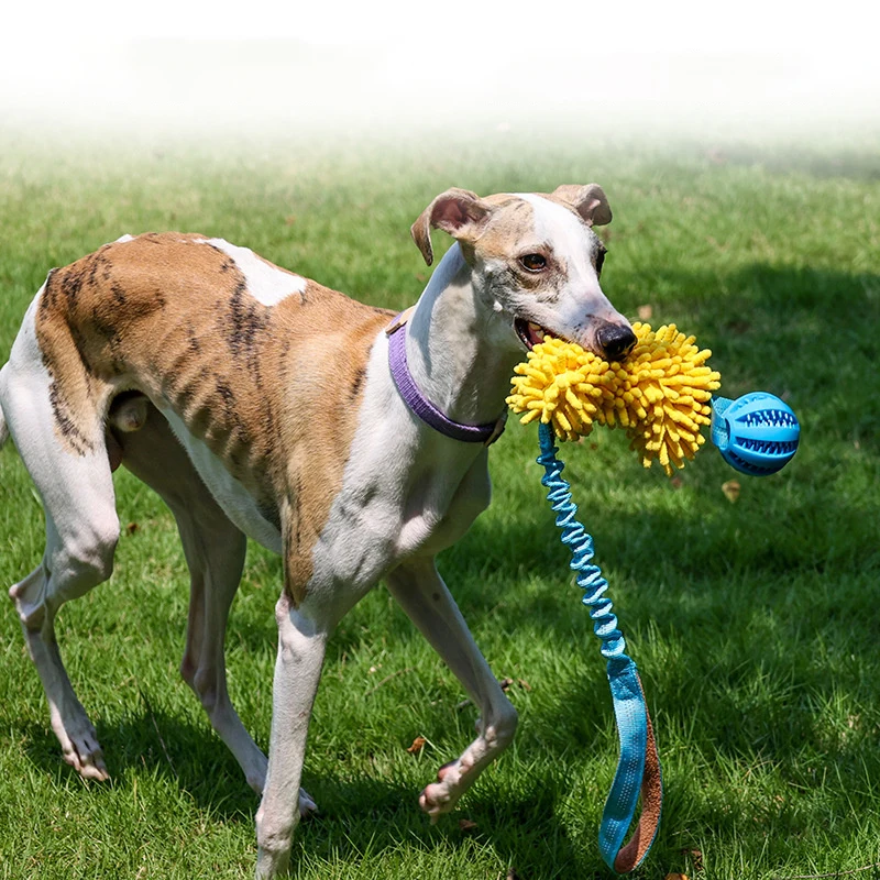 Интерактивная игрушка-буксир для собак эластичная веревка мяч игрушки