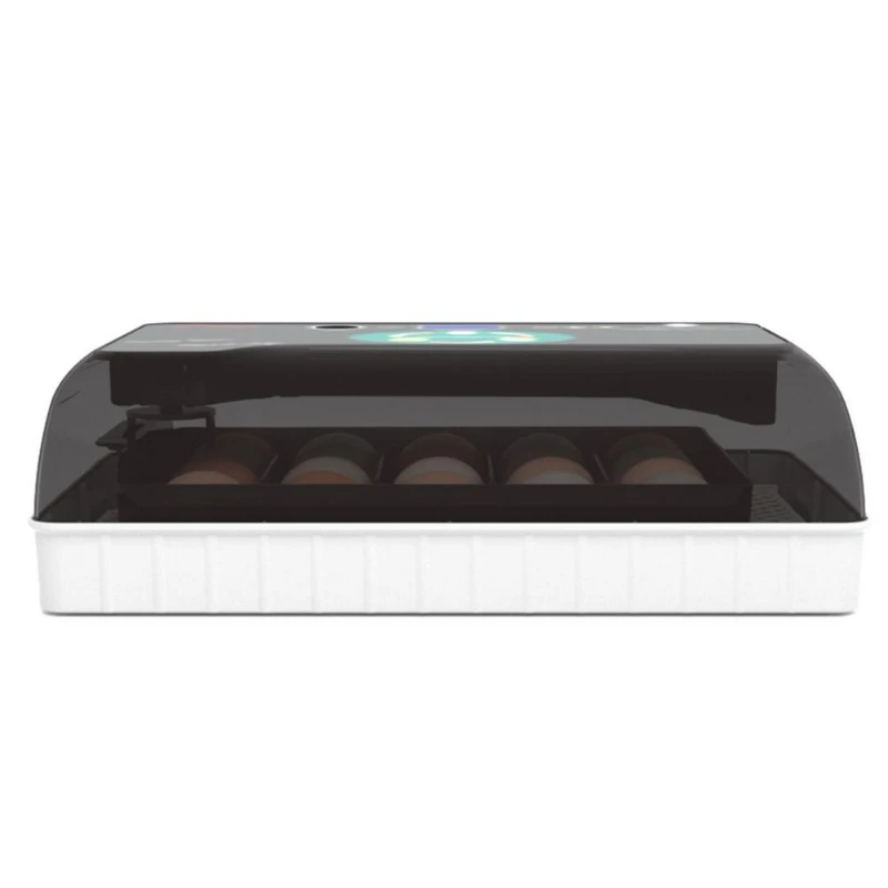 

Incubadoras de huevos de pollo, venta directa de fábrica, china