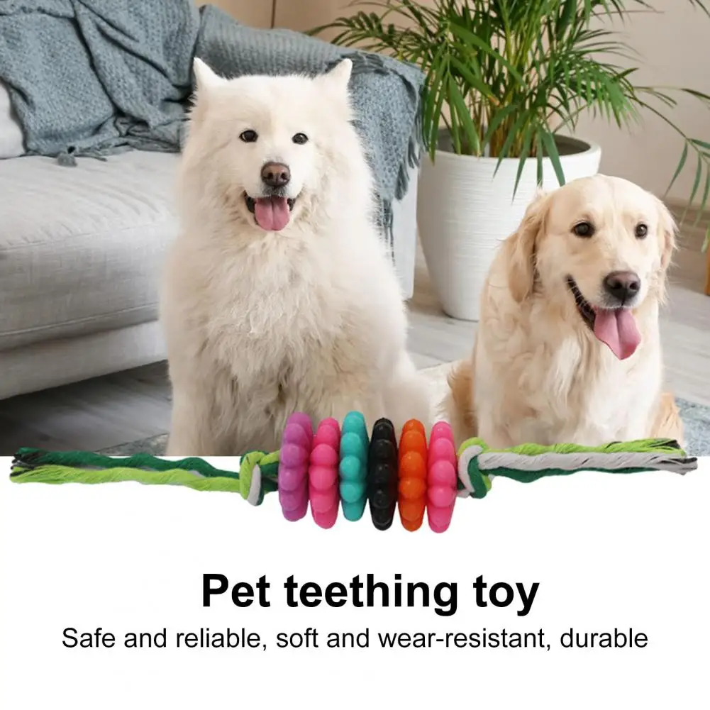 Dog Chew Toy Pet Teething Toy Dog Toy Bundle Durable Teethin