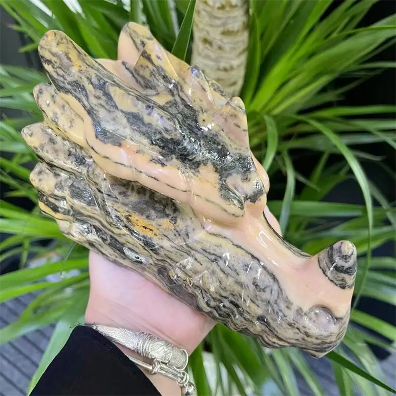 20 см натуральный тигерит Дракон Череп Резьба голова Животное Статуя кран для