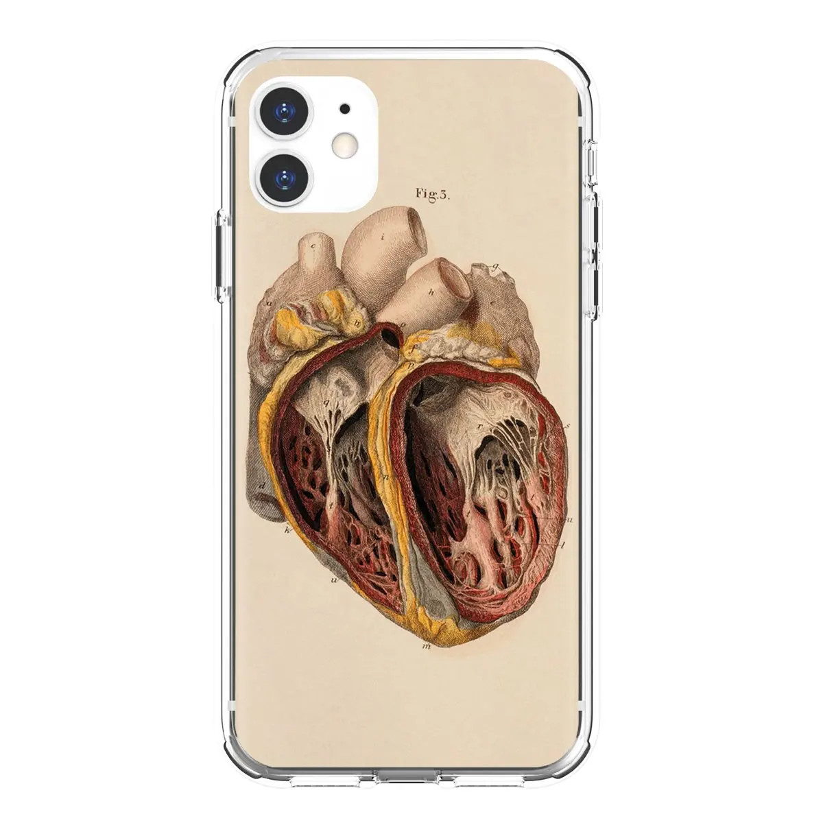 Винтажный медицинский анатомический сердечный рисунок для Samsung Galaxy S10 S10E S20 FE S21 S30