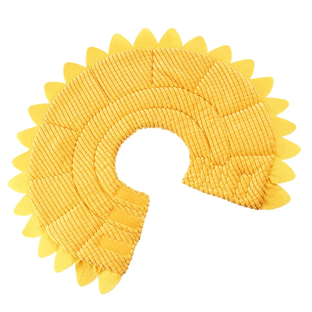 

Collar Dog Cat Cats Cone Neck Soft Cones Surgery After Elizabethan Pet Collarsrecovery Kitten Sunflower