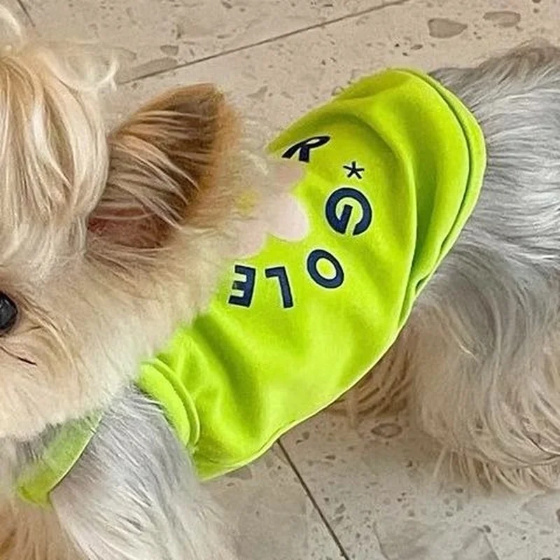 

Женский жилет для собак, одежда для кошек и маленьких собак, тонкий летний зеленый модный аксессуар для йоркширских терьеров