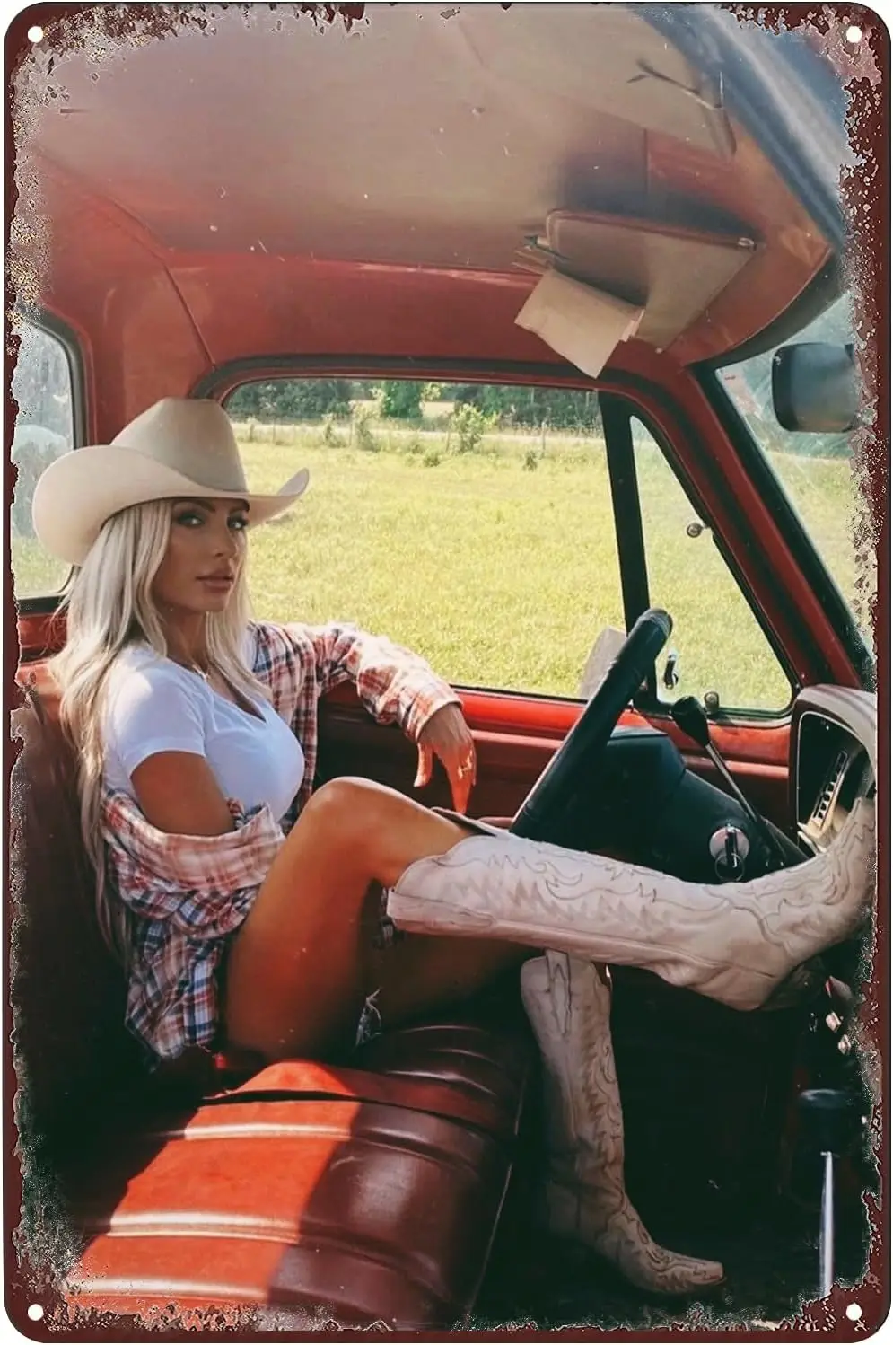 

Металлический плакат Pinup Girl