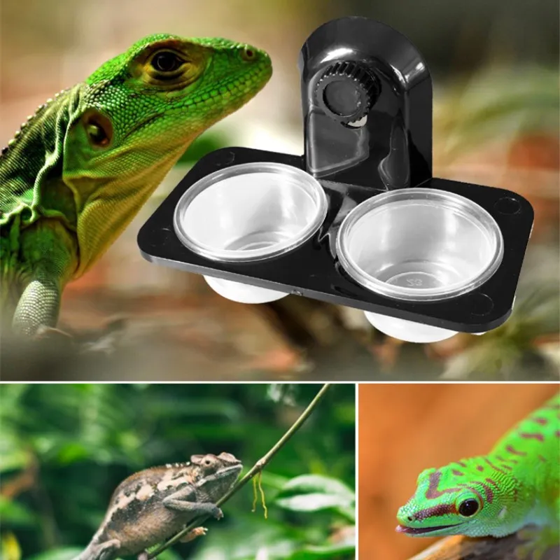 

Reptile Tank Insect Spider Ants Nest Snake Gecko Food Water Feeding Bowl Terrarium Breeding Feeders Box Pets Supplies