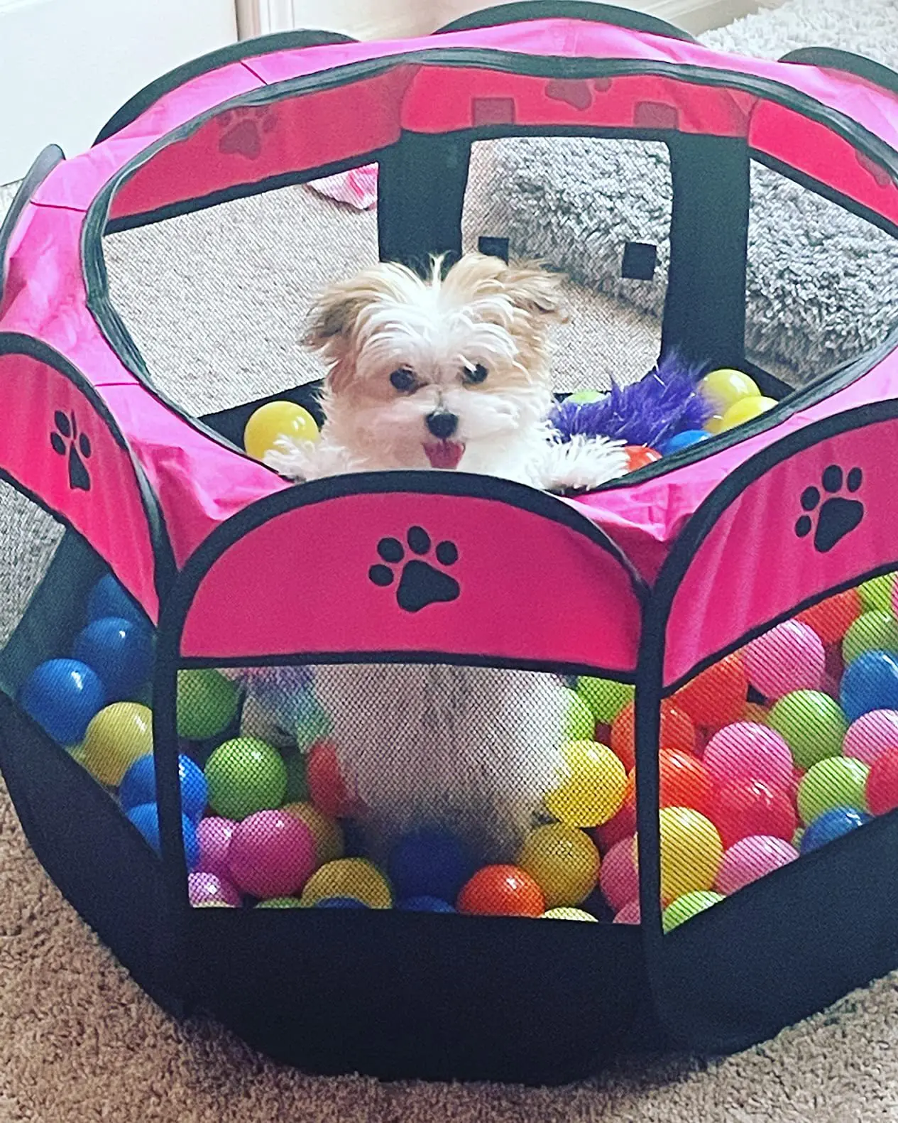 

Dogs Octagonal pet cage folding fence Oxford cloth waterproof cat delivery room scratch-resistant kennel tent pet supplies