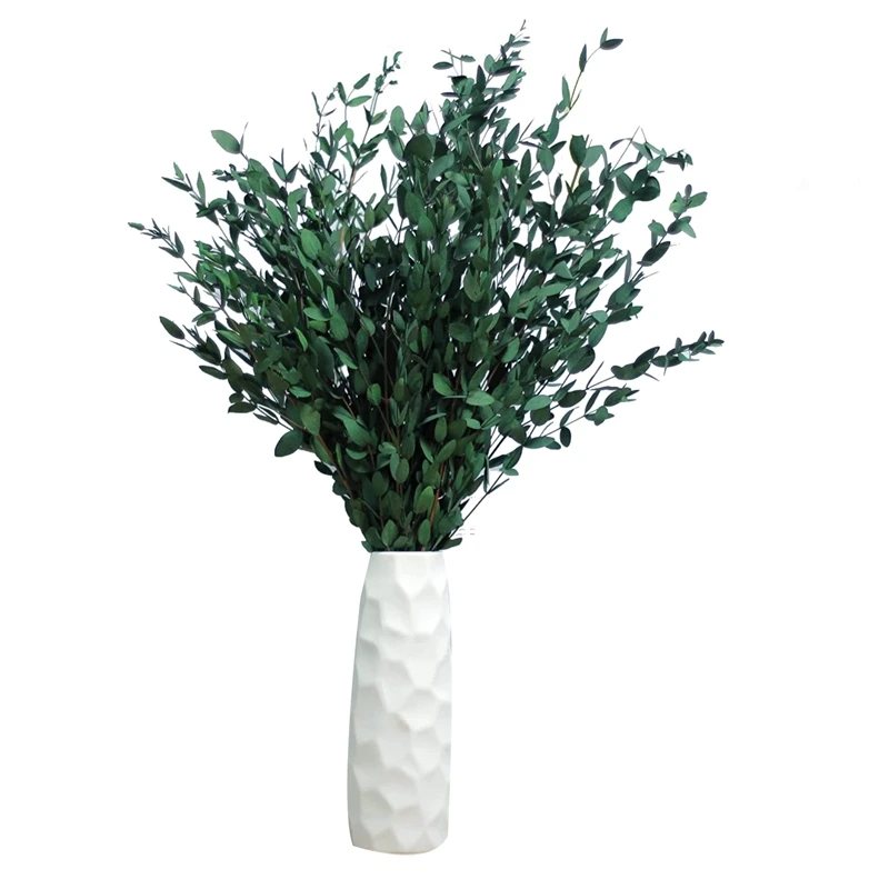 

Small Stems Dried Eucalyptus Preserved Bundles,Natural Real Eucalyptus Leaves Branches For Shower, Leaves Plant 2Pcs