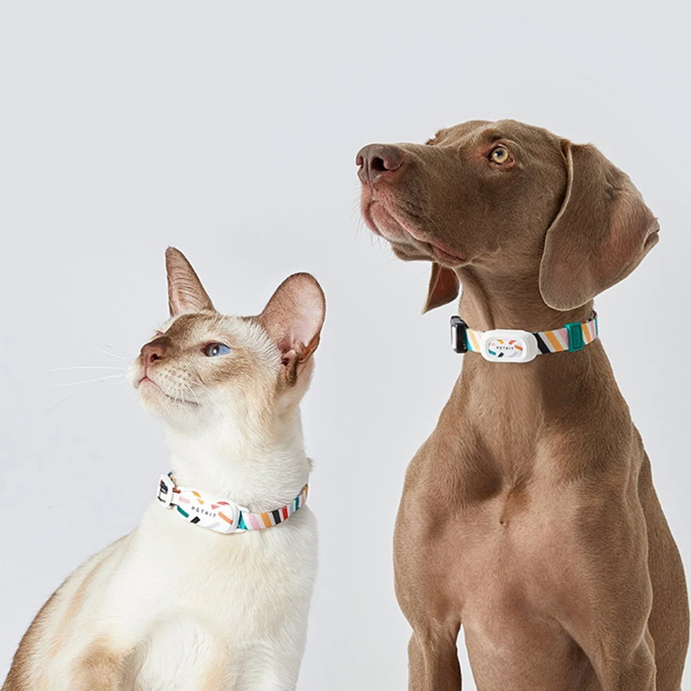 

Умный ошейник PETKIT для домашних животных с GPS-трекером, украшение для кошек и собак, водонепроницаемый регулируемый Bluetooth-контроль, Обнаружение сна и спортивной активности