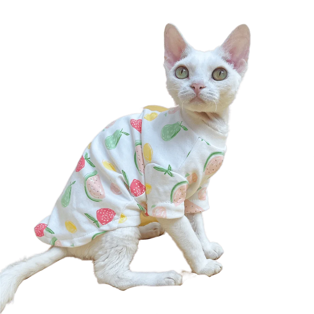 Cotton 4-legged Bottoming Shirt Spring Summer Thin Soft Kitten Outfits for Sphynx Devon Rex Apparel Sphinx Hairless Cat Clothes