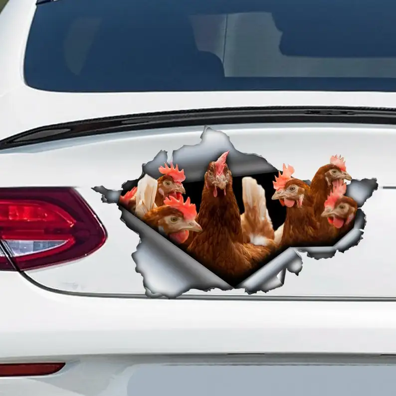 

Brown chickens car decal, chicken magnet, brown chicken car sticker, farm decal, funny magnet