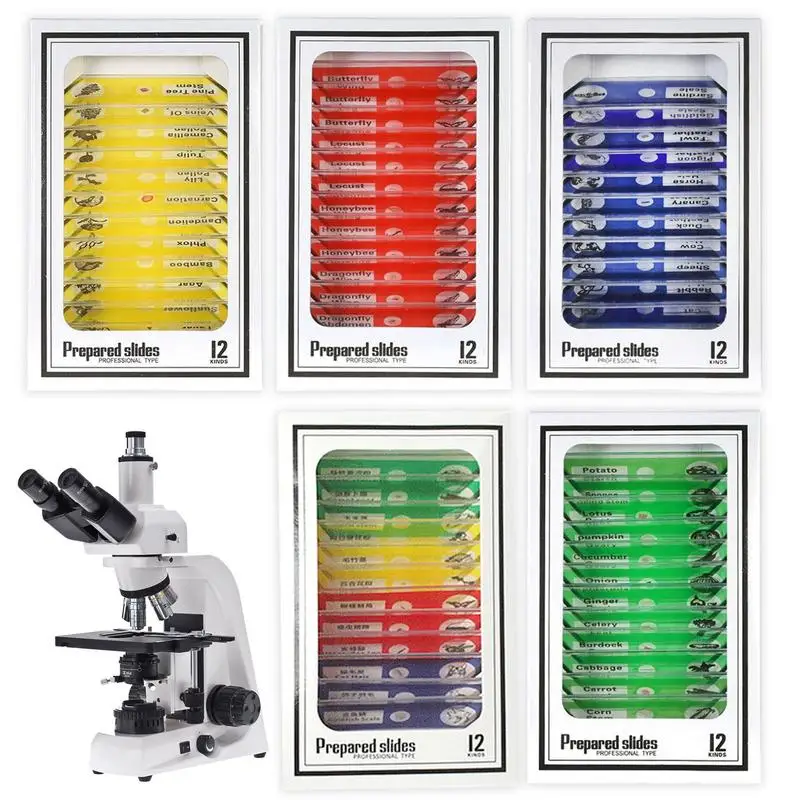 Microscope For Kids 60X-120X Handheld Portable Microscope Ou