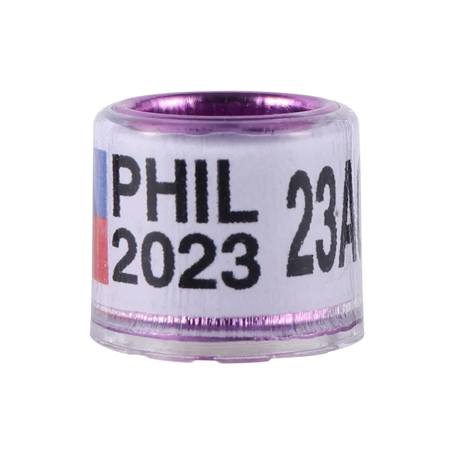 Фил спенсер. Фил коллинз сейчас. Фил в 2023. Джойстики energy ведущие. Dj feel 2023.