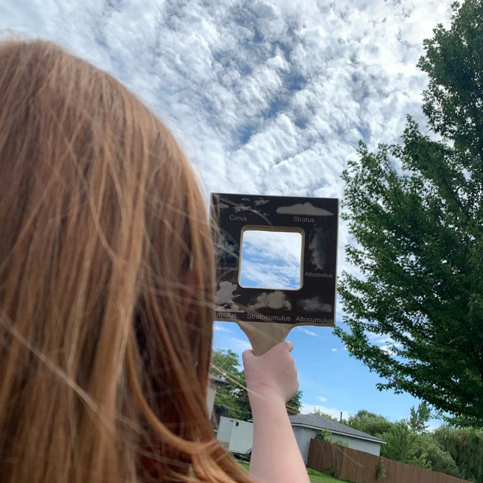 Рисунок 3 - Nature Guide Finder Leaf Finder