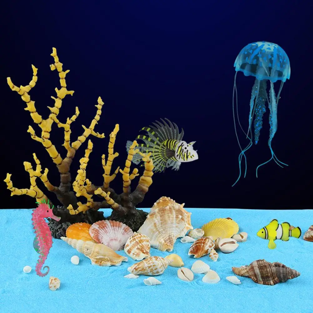 

[ New Arrivals ] 500g Natural Sea Conch Handicrafts Various Styles For Aquarium Fish Tank Turtle Tank Landscaping Decoration