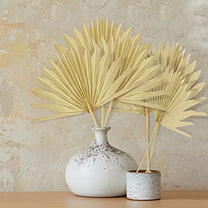 6Pcs Large Dried Palm Leaves Natural Dried Palm Fans Dried Flower Bouquet Wedding Decors Dried Fan Palm Leaves
