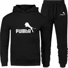 Новый брендовый спортивный костюм 2022, модные толстовки для мужчин, спортивная одежда, комплект из двух предметов, толстый шерстяной костюм с капюшоном и брюки, спортивный костюм для мужчин