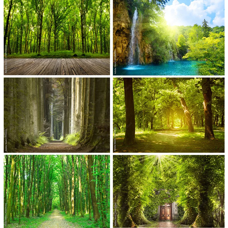 

Natural Scenery Photography Background Forest Landscape Travel Photo Backdrops Studio Props 22331 SELI-01