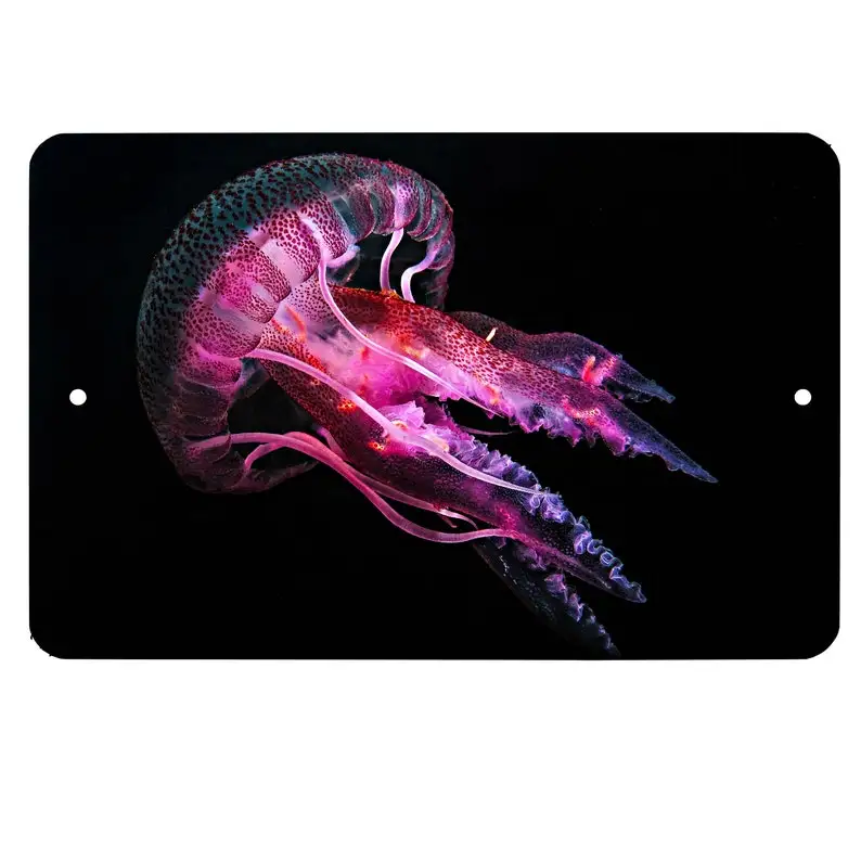 

Pink Jellyfish Metal Sign - Wall Decor - Aluminum Door Sign - Metal Sign - Kid's Room - Jelly Fish - Ocean - Pirate - Caribbean