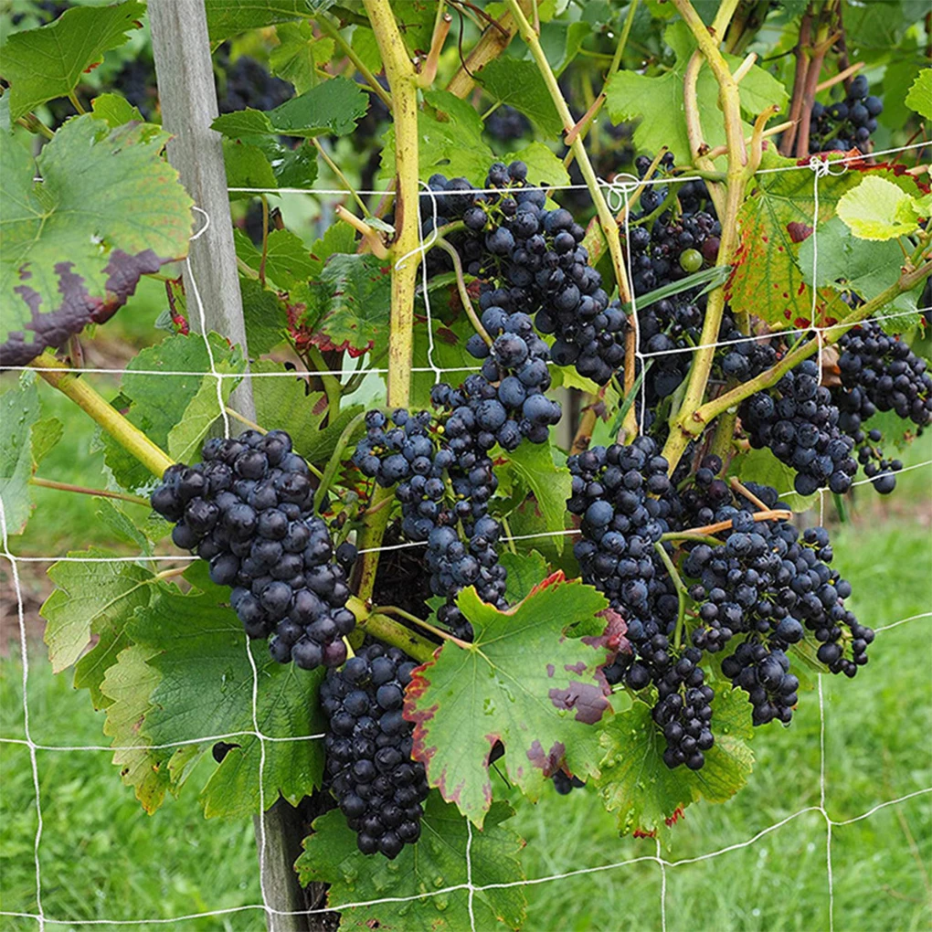 Сетчатая рама для растений гибкая уличная опорная сетка подъема овощей дыни сада