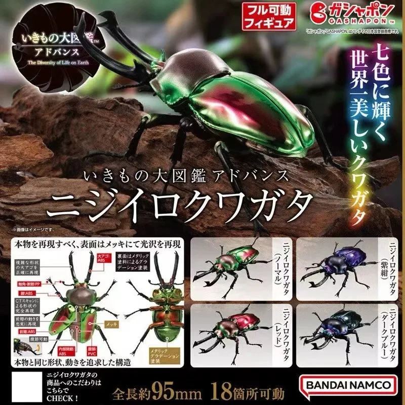 

Stock BANDAI Beetle Rainbow Spade Large Image Guide Hand Decoration Twisted Egg Animation Model Collection Christmas Gift