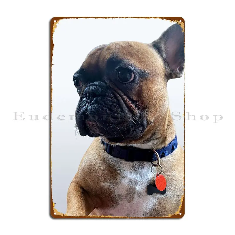 

French Bulldog Metal Signs Club Printed Plates Cave Wall Plaque Tin Sign Poster