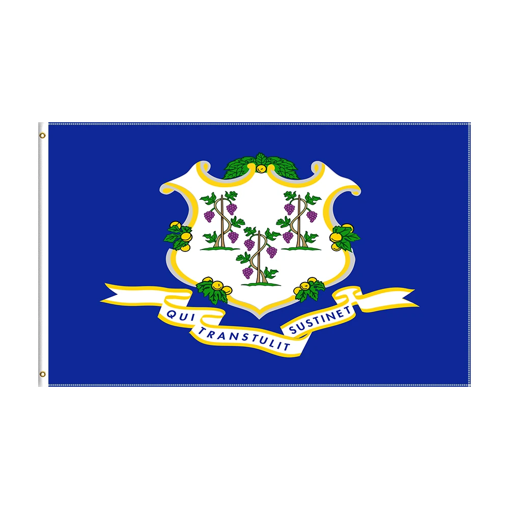 

3x5 Ft Connecticut Flag Polyester Printed State Banner For Decor