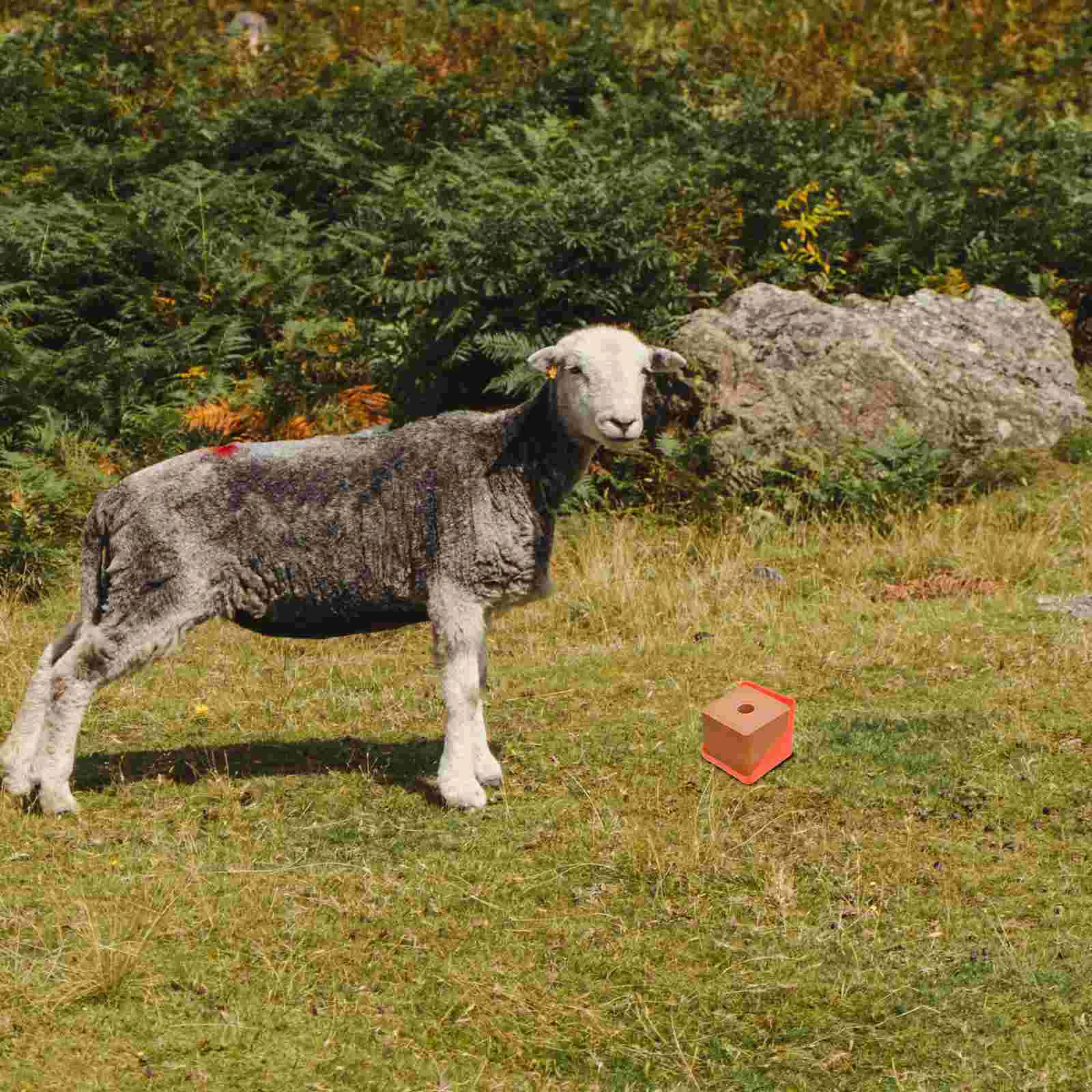 Коробка для лизания кирпича кормушка соли скота контейнер хранения судьбы